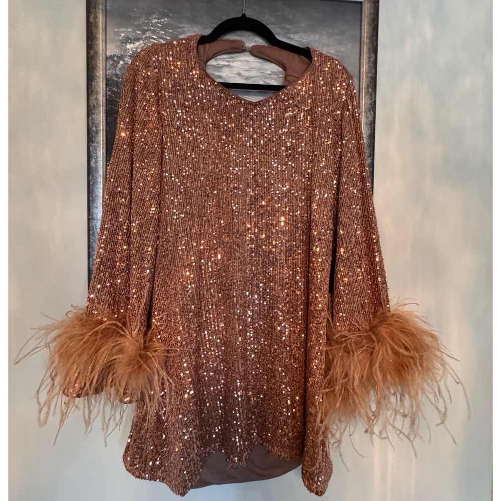 Fashion Nova Sequin Mini Dress